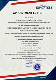 Apponitment Letter